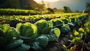 Agriculture News 1
