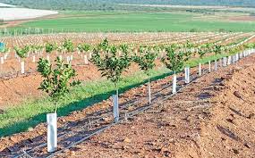 Agriculture News 2
